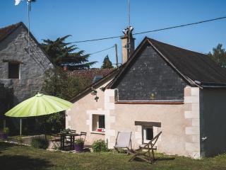 Charmante maison proche Châteaux de la Loire, jardin privé, parfait pour couples et familles - FR-1-381-371 - Athée-sur-Cher - 0