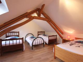 Maison Percheronne Spacieuse avec Billard, Babyfoot, et Jardin Clos, Animaux Bienvenus ! - FR-1-497-65 - La Mesniere - 5