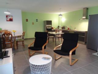 Appartement PMR, balcon, cuisine équipée, WiFi, draps fournis - FR-1-496-228 - Saint-Genest-Malifaux - 6
