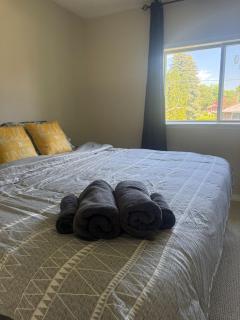 多伦多美丽房间- Great Location - Markham - 6