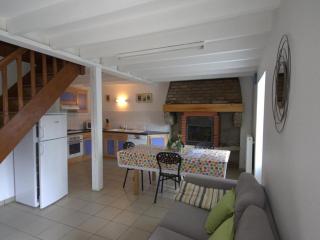 Gîte rustique avec cheminée et jardin - idéal pour familles et activités hivernales - FR-1-496-198 - La Chambonie - 9