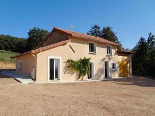 Gîte cosy avec cheminée, animaux acceptés et grande terrasse - FR-1-496-221 - Regny - 5