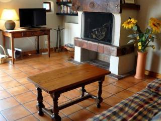 Gîte chaleureux avec cheminée, terrasse et jardin clos - Animaux acceptés - FR-1-496-30 - Maringes - 4