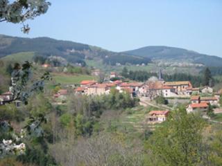 Charmant chalet 35m², 2 ch, terrasse privée, activités nature aux Monts de la Madeleine, animaux OK - FR-1-496-240 - - 2