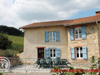 Gîte spacieux avec cheminée, proche forêt, VTT et randonnées, idéal pour familles et détente - FR-1-496-36 - Saint-Romain-dʼUrfé - 0