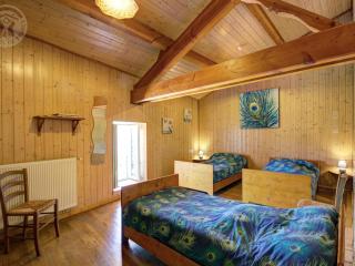 Gîte spacieux avec cheminée, proche forêt, VTT et randonnées, idéal pour familles et détente - FR-1-496-36 - Saint-Romain-dʼUrfé - 2