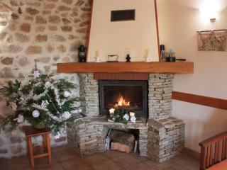 Gîte de Charme en Rhône-Alpes : Terrasse, Cheminée, Jardin, Idéal Famille, Accessible PMR - FR-1-496-93 - 9