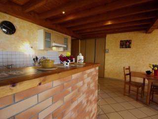 Gîte rural 2 chambres avec jardin, terrasse, wifi, animaux acceptés - FR-1-496-130 - Saint-Héand - 1