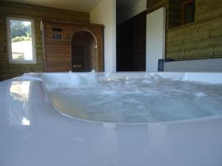 Maison cosy avec spa, sauna et lamas à proximité de Roanne - FR-1-496-23 - Saint-André-dʼApchon - 7