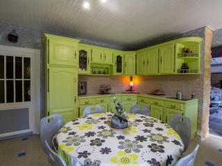 Maison en pierre avec grand jardin, proche Vézère, idéale pour familles et amateurs de pêche - FR-1-616-219 - Limeuil - 1