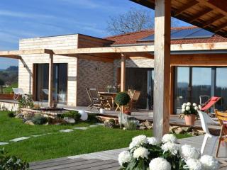 Gîte en bois avec piscine naturelle, 3 chambres avec terrasses privatives - FR-1-496-258 - Champoly - 0