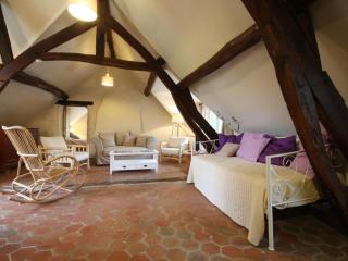 Gîte cosy avec accès à un camping, étang, VTT, et proche de randonnées et d'Alençon, animaux acceptés - FR-1-497-111 - Radon - 5