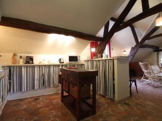 Gîte cosy avec accès à un camping, étang, VTT, et proche de randonnées et d'Alençon, animaux acceptés - FR-1-497-111 - Radon - 3