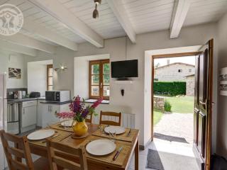 Gîte rénové en pierres au cœur du Haut Forez avec terrasse et randonnées à proximité - FR-1-496-59 - La Chapelle-en-Lafaye - 9