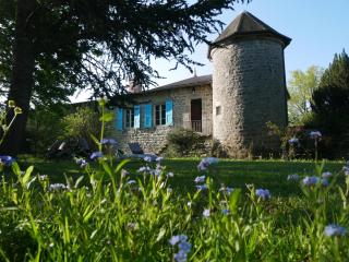 Gîte charmant avec cheminée et jardin à Marlhes, proche commodités et sentiers de randonnée - FR-1-496-55 - Marlhes - 0