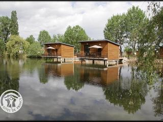 Chalets confortables en bord d'étang, parfaits pour pêche et nature, avec terrasse et équipements modernes - FR-1-496-83 - Veauchette - 0