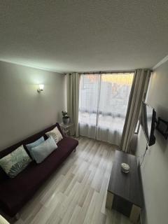 Hermoso depto 1 dormitorio en Carmen 110, Santiago - Santiago - 4