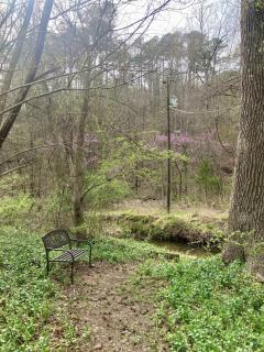 Sunnybrook Cabin, wooded, private with stream, near ATV trails - Mena - 9