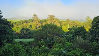 Mpushini Falls Resort - Eshowe - 9