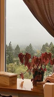Hermosa casa de montaña a estrenar con vistas increíbles a los cerros de Bariloche - San Carlos de Bariloche - 4