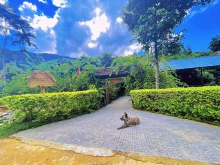 Toni Nguyen Homestay - - 8