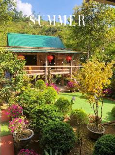 Toni Nguyen Homestay - - 0