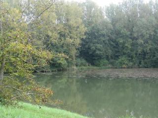 La Coutrotte Becquine - Heuilley-sur-Saône - 6