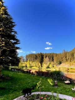 HAUS AM SEE - Natur Pur - Friedenweiler - 5