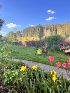 HAUS AM SEE - Natur Pur - Friedenweiler - 6