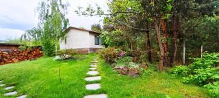 Forest Hide Tiny House - Covasna - 9