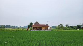 Brand New - Amman Villa with Stunning Rice Field View Ubud - Ubud - 1