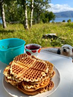 Peaceful Island Escape in a Charming Cabin with Beautiful Scenery, Private Beach & Boat - - 5