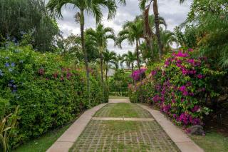 Private Escape with Open Layout Pool and 3King Beds - Wailea - 3