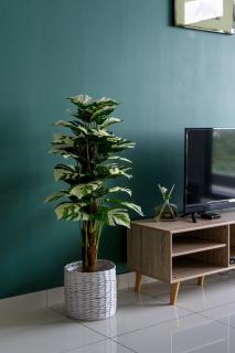 Leisure Home-1Bedroom - Masai - 2