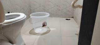 Hotel O Lotus Inn - Faridabad - 1