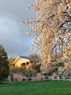 Villa Toce B&B - Cave - 6