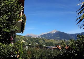 Törggelehof Algund - Algund - 9