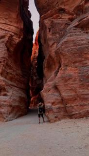 Wadi Rum camp & Bubble Tent & Bedouin Style & tours - Wadi Rum - 4