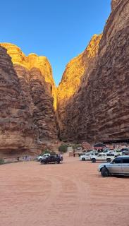 Wadi Rum camp & Bubble Tent & Bedouin Style & tours - Wadi Rum - 5