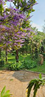 Pannadikadu Homestay - 6