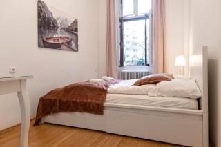 Comfort Elegant 2BR Apartment Ideal for long stays - Viena - 7