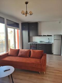 Sika Amazon Apartment- NEW ON BOOKING - Arad - 8