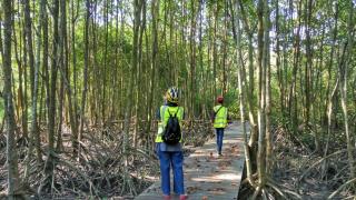 Junior Suite Nature of Penang Guesthouse - Balik Pulau - 7