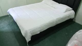 Junior Suite Nature of Penang Guesthouse - Balik Pulau - 5