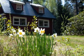 Off-grid Plan Torpet Cabin - - 0