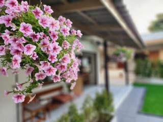 78's Hometel Pattaya 101 - 4