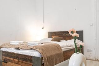 Spacious 1BR Apt, WIFI & TV, with a Great Location - Viena - 1