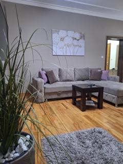 Apartmani Radulović - 3