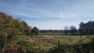 Natuurhuisje Hoogeloon PMV - 6