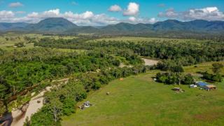 Echidna by Tiny Away - 8